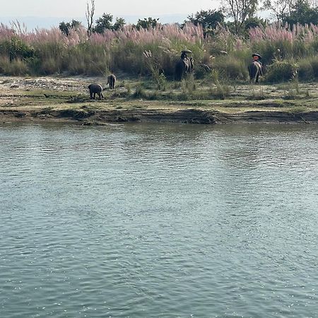 Chitwan Riverside Resort Sauraha Luaran gambar