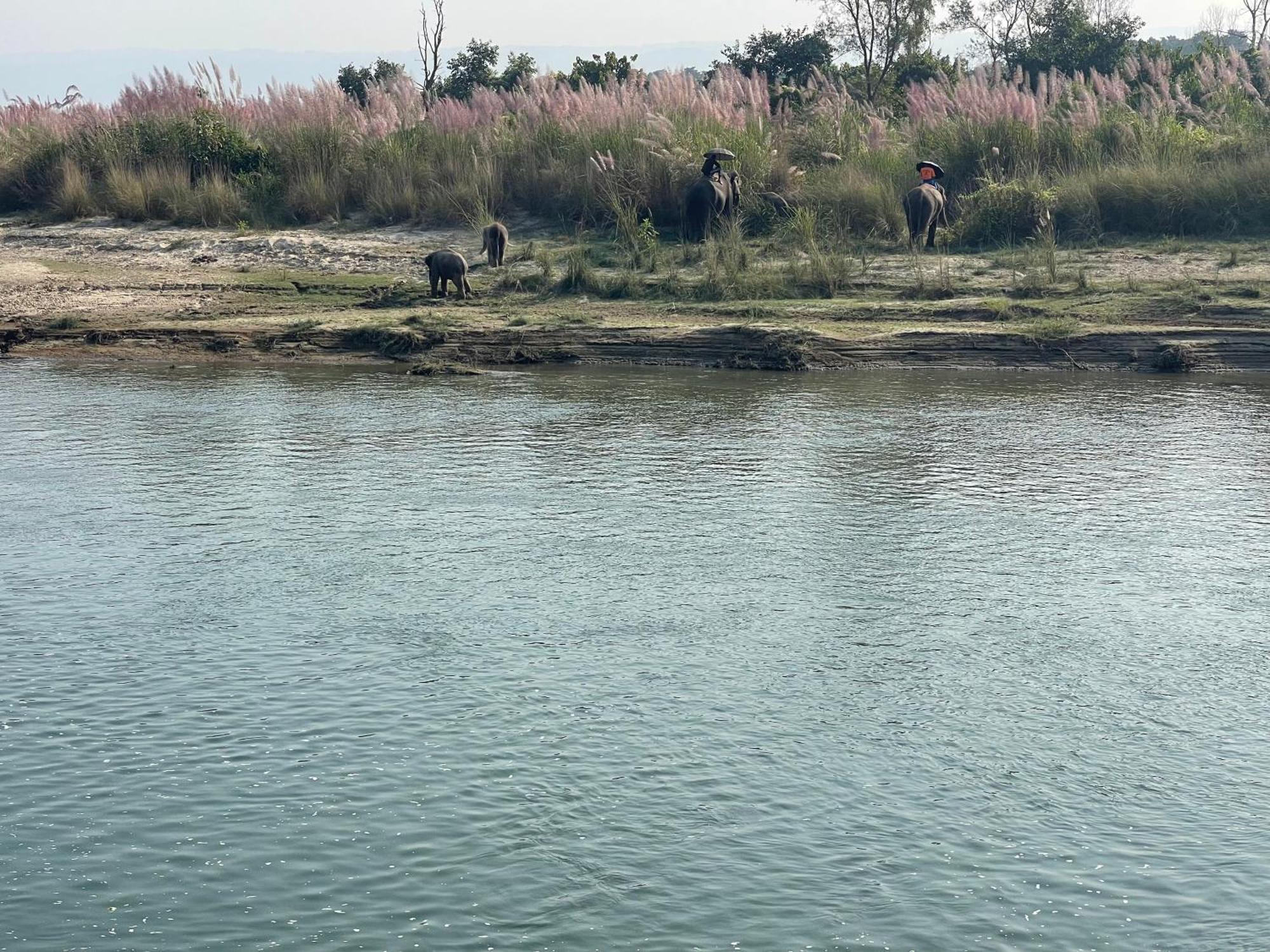 Chitwan Riverside Resort Sauraha Luaran gambar