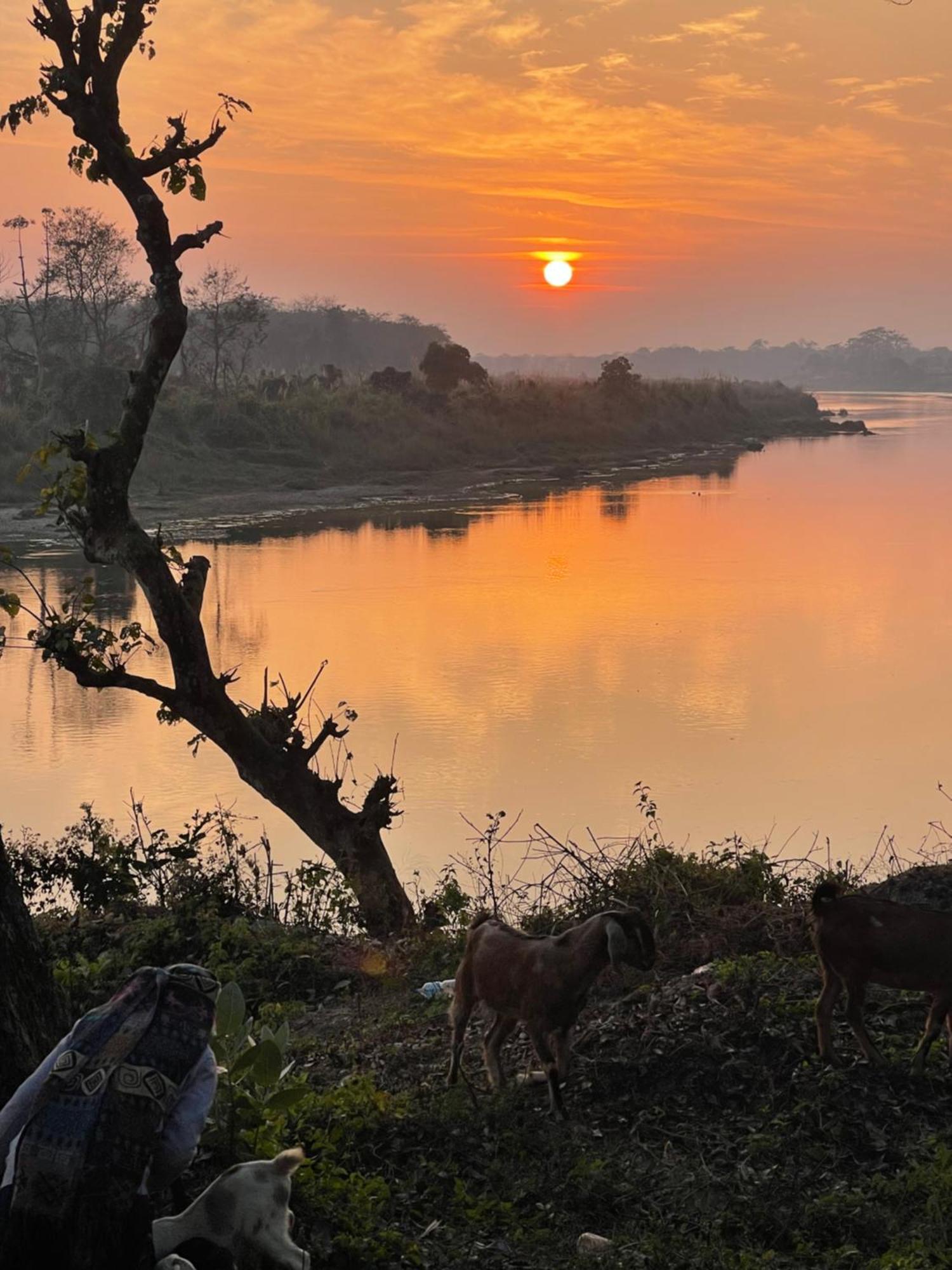 Chitwan Riverside Resort Sauraha Luaran gambar